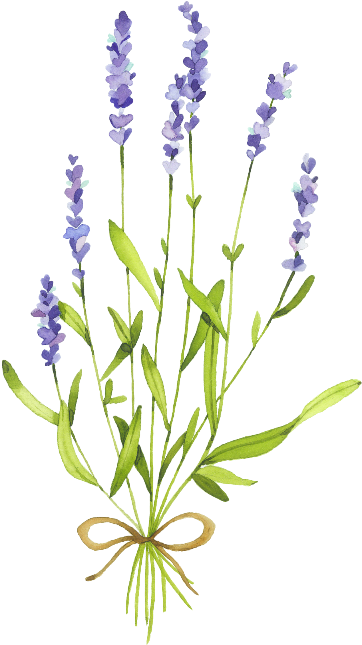 Filozofie